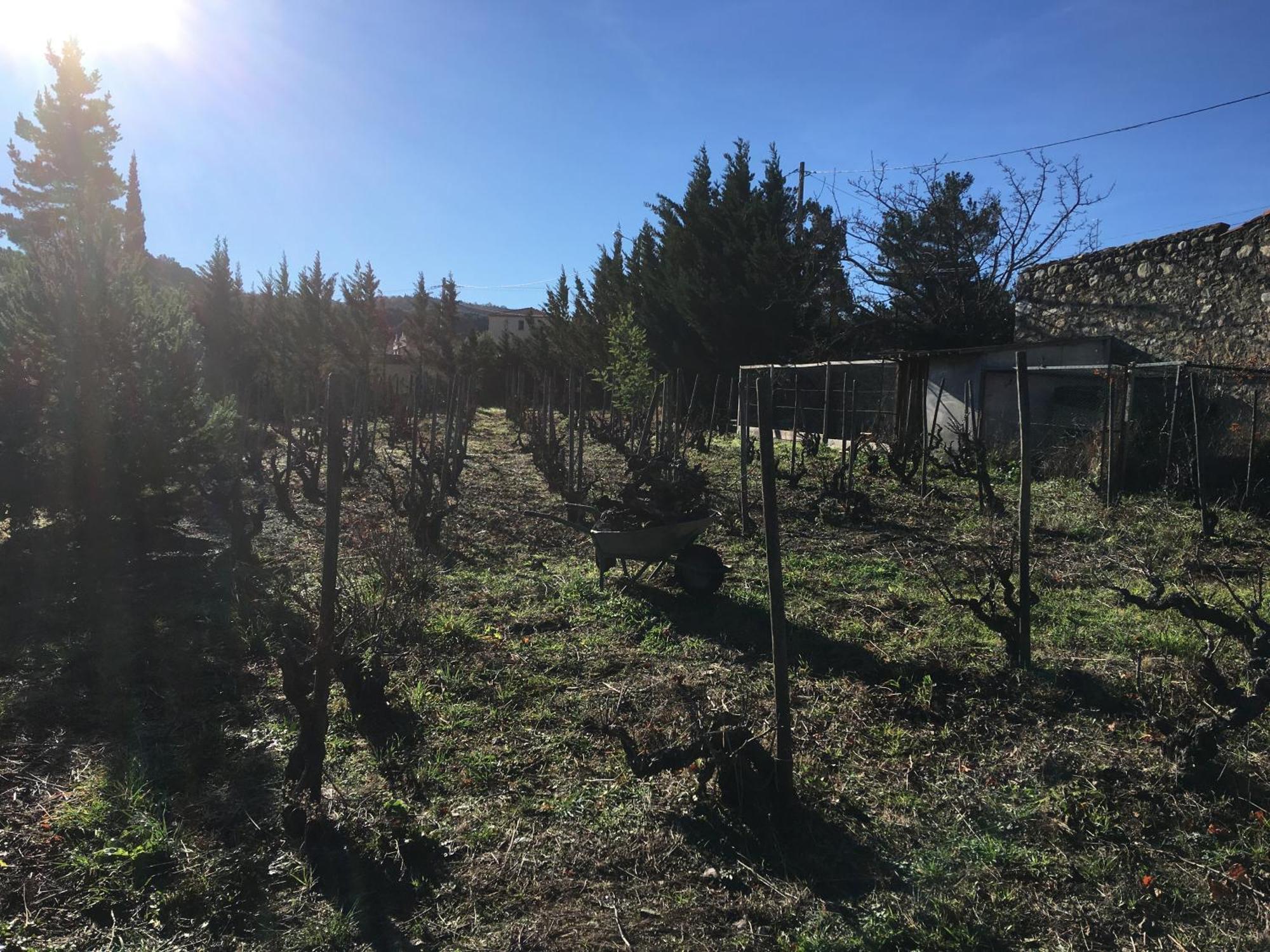 Rasigueres Coeur De Nature المظهر الخارجي الصورة