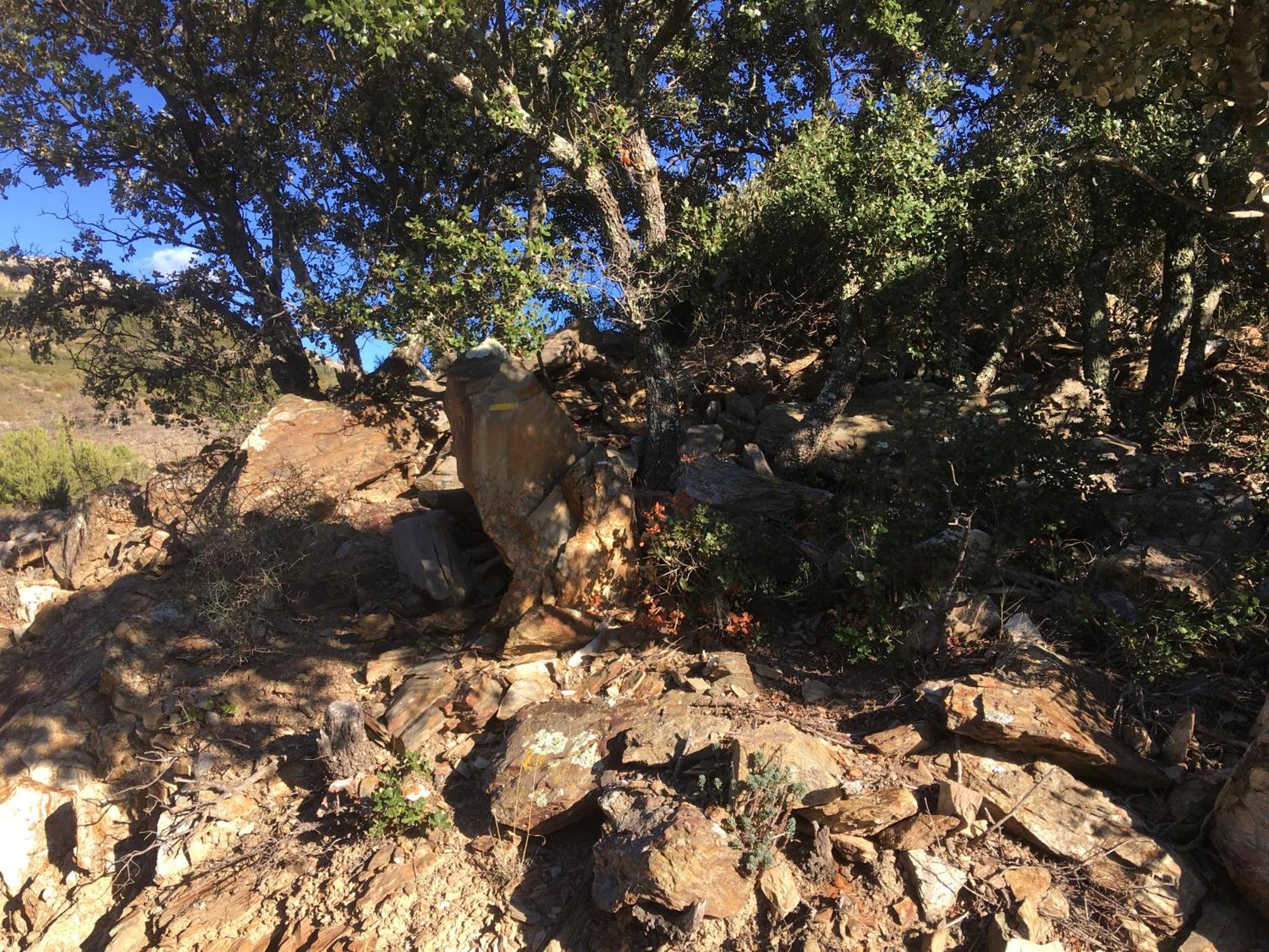 Rasigueres Coeur De Nature المظهر الخارجي الصورة